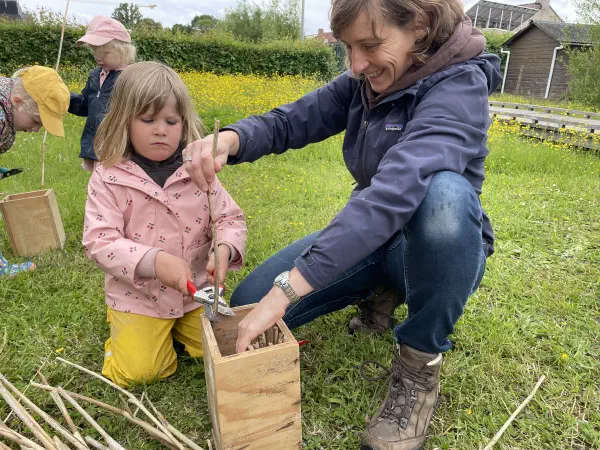 Tweede insectenhotel